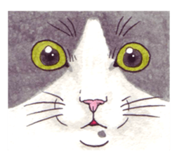 Cat sticker that can be used every day sticker #7490621