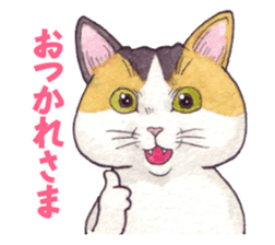 Cat sticker that can be used every day sticker #7490624