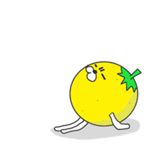 Daily of citrus sticker #7492284