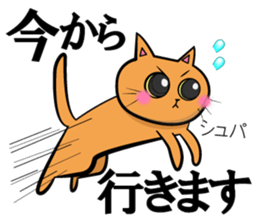 neko neko cats sticker #7492359