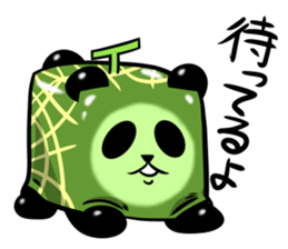 Square melon Panda sticker #7493774