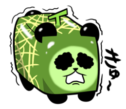 Square melon Panda sticker #7493778