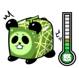 Square melon Panda sticker #7493785