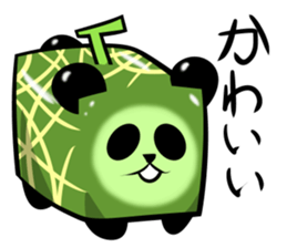 Square melon Panda sticker #7493791