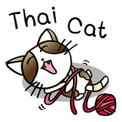 Thai Cat Cute