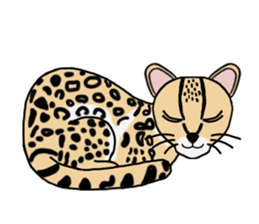 Margay kun sticker #7494998