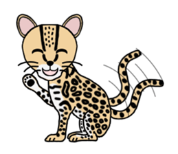 Margay kun sticker #7494999