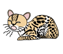 Margay kun sticker #7495000