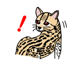 Margay kun sticker #7495002
