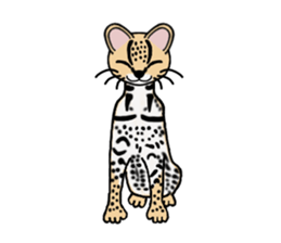 Margay kun sticker #7495003