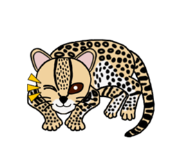 Margay kun sticker #7495004