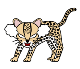 Margay kun sticker #7495008