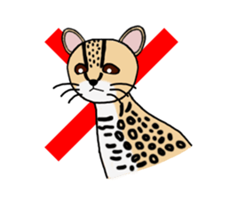 Margay kun sticker #7495012