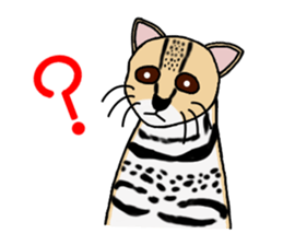 Margay kun sticker #7495022