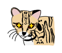 Margay kun sticker #7495023