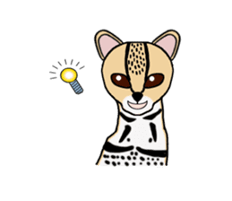 Margay kun sticker #7495024