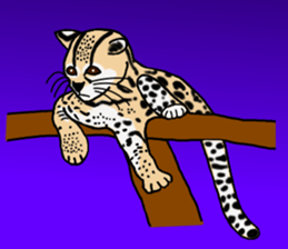 Margay kun sticker #7495025