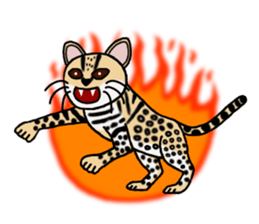 Margay kun sticker #7495026