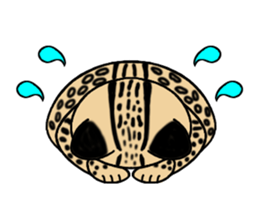 Margay kun sticker #7495027