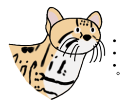 Margay kun sticker #7495028