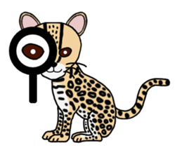 Margay kun sticker #7495031