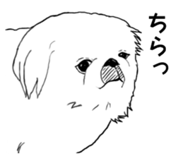 pekingese of the inner sticker #7496612