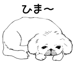 pekingese of the inner sticker #7496621