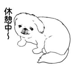 pekingese of the inner sticker #7496630