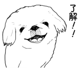 pekingese of the inner sticker #7496635