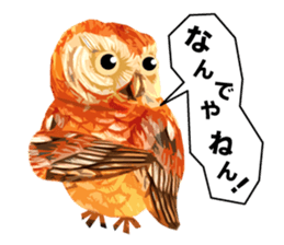 40 Owls_vol.3 sticker #7497516