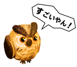 40 Owls_vol.3 sticker #7497518