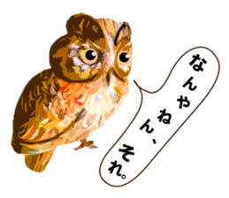 40 Owls_vol.3 sticker #7497536