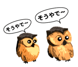 40 Owls_vol.3 sticker #7497537