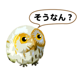 40 Owls_vol.3 sticker #7497545