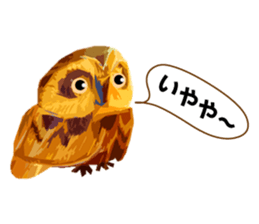 40 Owls_vol.3 sticker #7497548