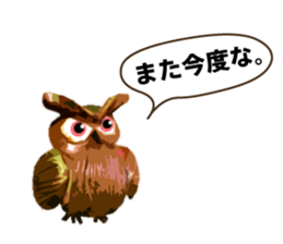 40 Owls_vol.3 sticker #7497551