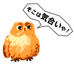 40 Owls_vol.3 sticker #7497554