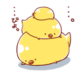 marukko chick sticker #7500027