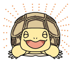 Tortoises, frogs, chameleons, etc. sticker #7503116