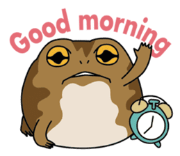 Tortoises, frogs, chameleons, etc. sticker #7503119