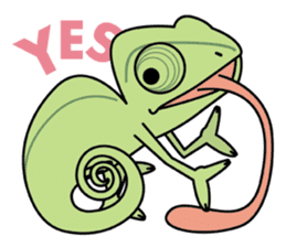 Tortoises, frogs, chameleons, etc. sticker #7503122