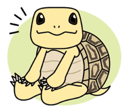 Tortoises, frogs, chameleons, etc. sticker #7503128
