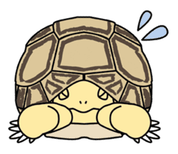 Tortoises, frogs, chameleons, etc. sticker #7503141