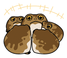 Tortoises, frogs, chameleons, etc. sticker #7503145