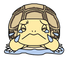 Tortoises, frogs, chameleons, etc. sticker #7503154