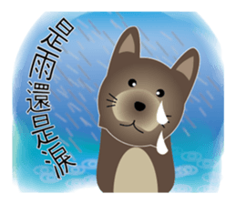 Cheap cat and Silly Dog sticker #7503961