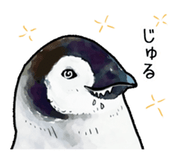 Watercolor penguin sticker sticker #7504838