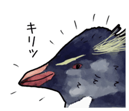 Watercolor penguin sticker sticker #7504839