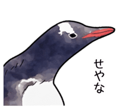 Watercolor penguin sticker sticker #7504841