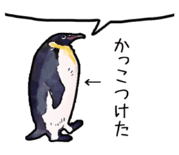 Watercolor penguin sticker sticker #7504845